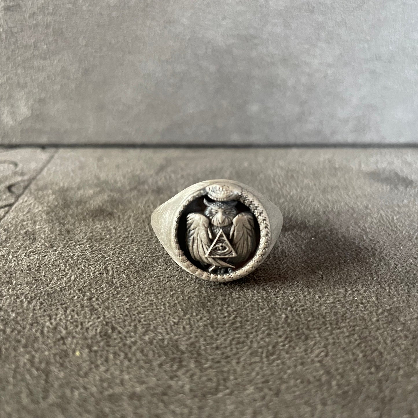 Freemason Ring, Sterling Silver Eye Of Province Owl Ring, Animal Snake Jewelry, Gift For Husband,  Handmade Illuminati, Christmas Gift