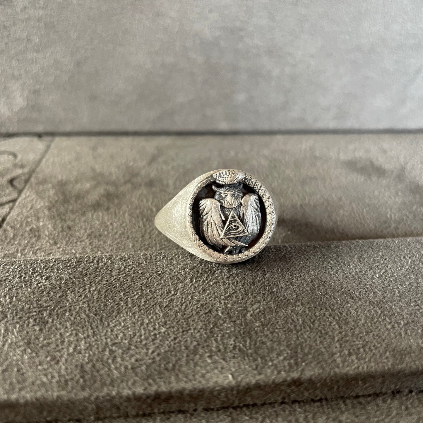 Freemason Ring, Sterling Silver Eye Of Province Owl Ring, Animal Snake Jewelry, Gift For Husband,  Handmade Illuminati, Christmas Gift